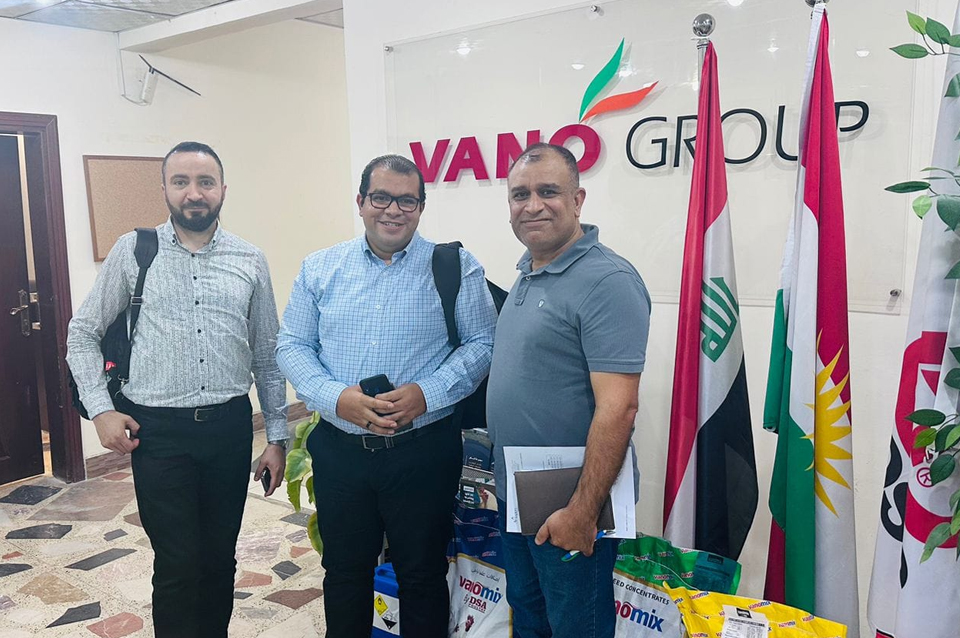 Laying and maternal health